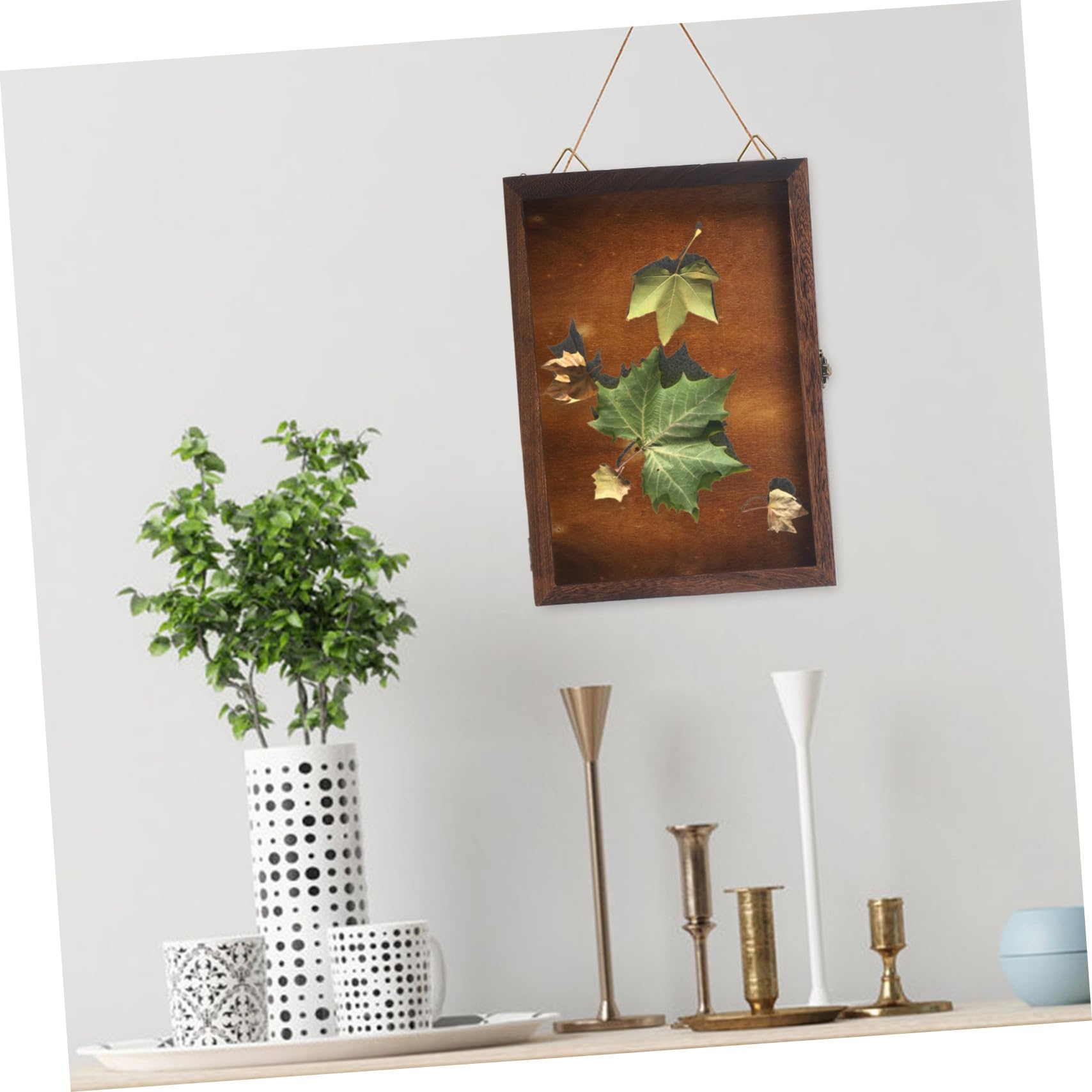 Mobestech Scatola per Conservazione Farfalle e Campioni di Visualizzazione Insetti in Legno Custodia Vintage Coperchio Trasparente per Gioielli e Artigianato