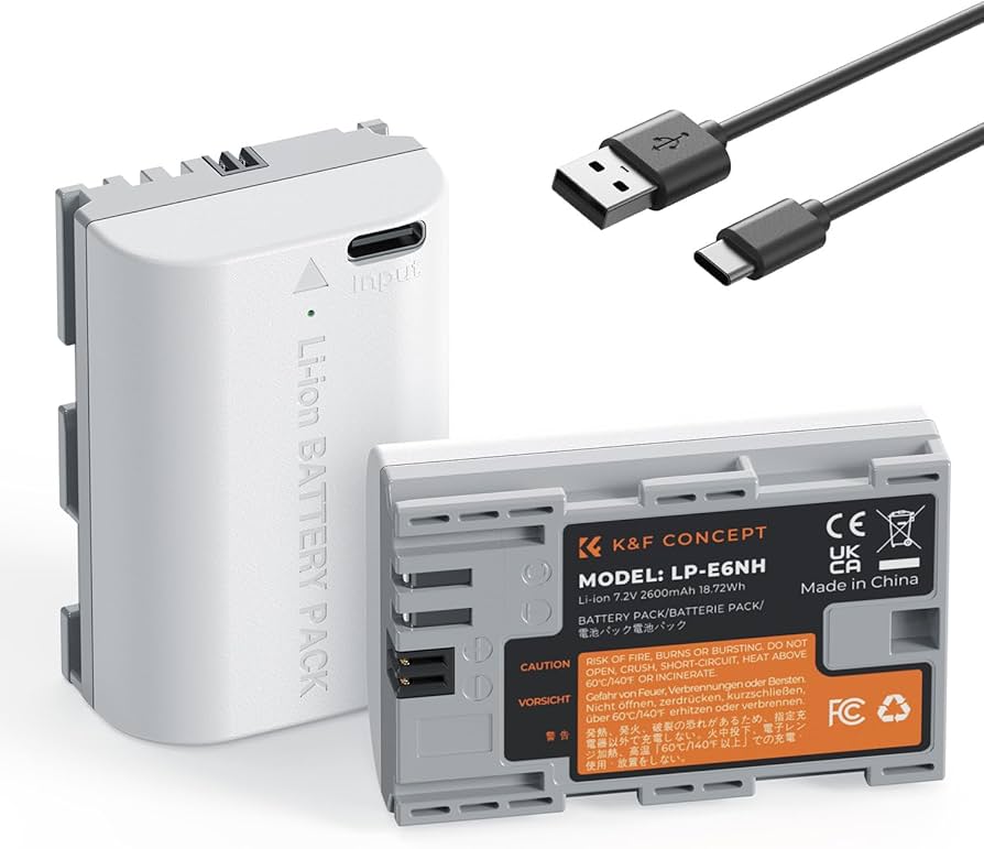 Lp-E6Nh Batterie D'Appareil Photo Avec Prise De Charge Directe De Type C Compatible Avec Canon