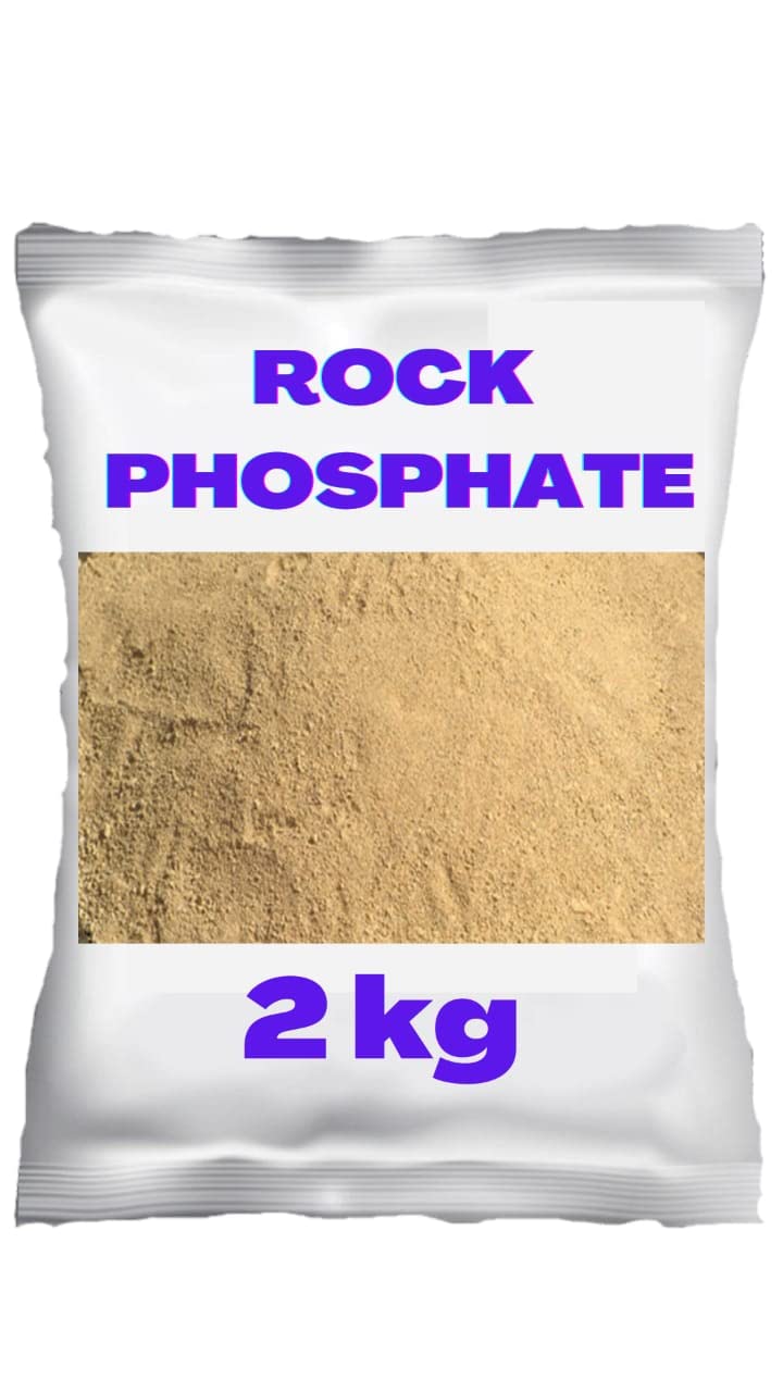 Plant Rock Phosphate Essential Fertilizer All Purpose Powder for Fruiting and Flowering Plants (2 kg) (B0BN26CSYQ) Amazon Price History, Amazon Price Tracker