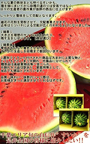 Amazon 産地直送 大玉スイカ 1玉 8kg 千葉産 大玉サイズ 銚子 冨里 成田 サンブエリア 産地から玄関へ すいか 通販