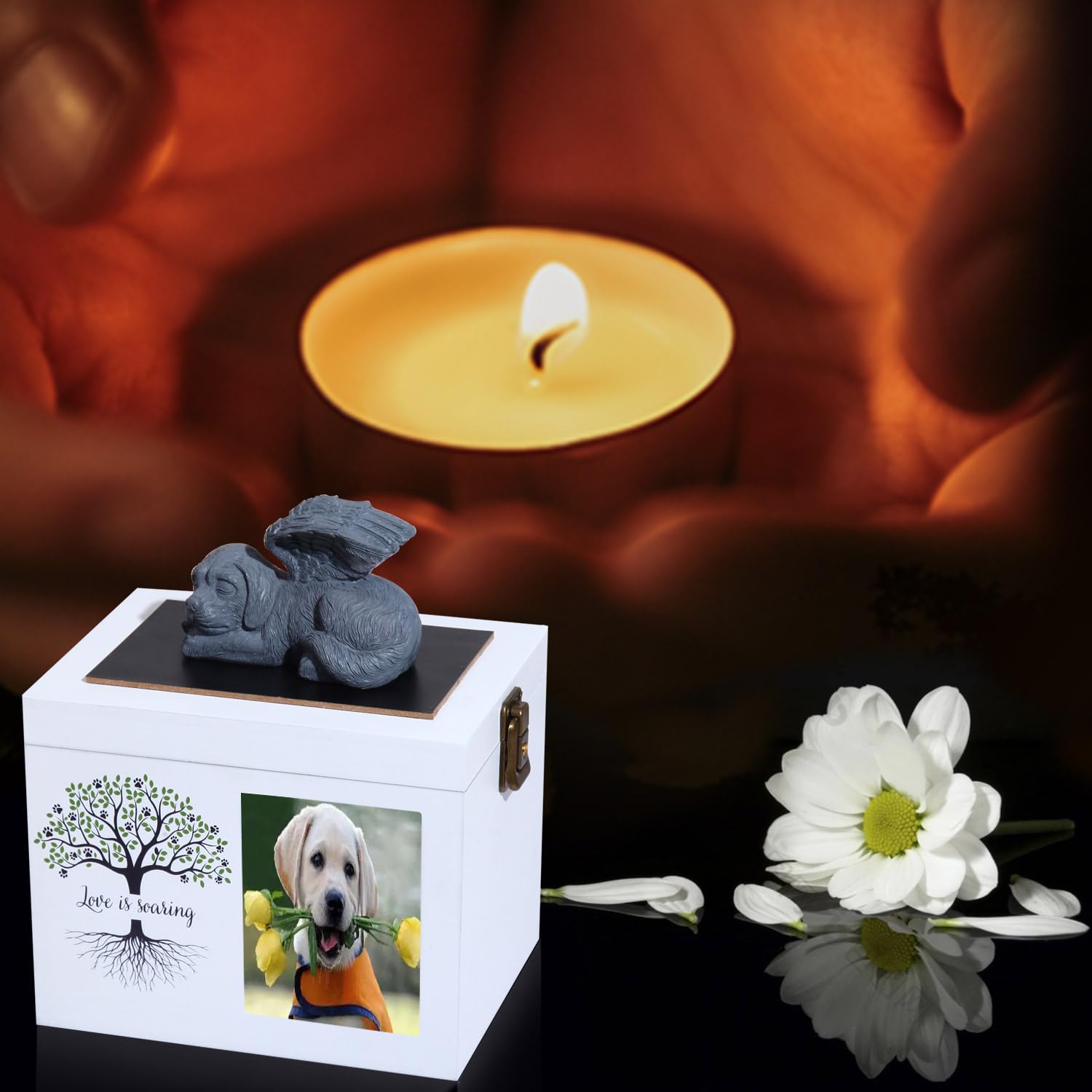 Urne Commemorative per Cani o Gatti, urna funebre in Legno con Cornice per Foto, Scatola commemorativa con Flanella Nera Come Fodera, Regalo commemorativo per Animali Domestici