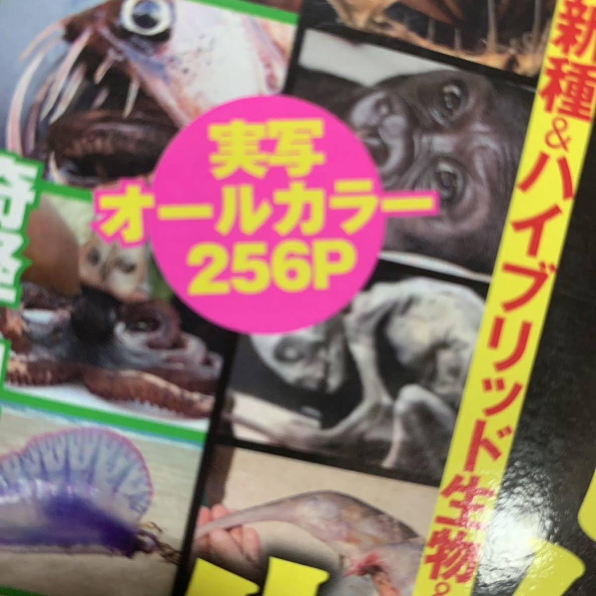 Amazon.co.jp: 世界超怪奇アンビリーバブル生物画像300 (DIA 