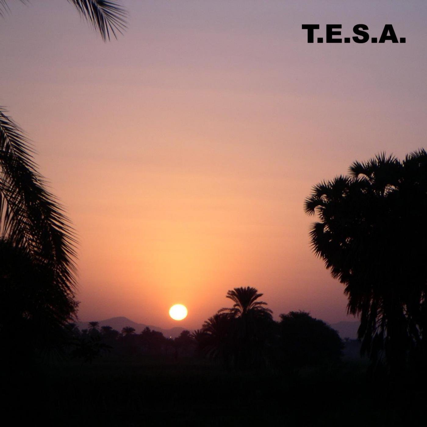 T.E.S.A.