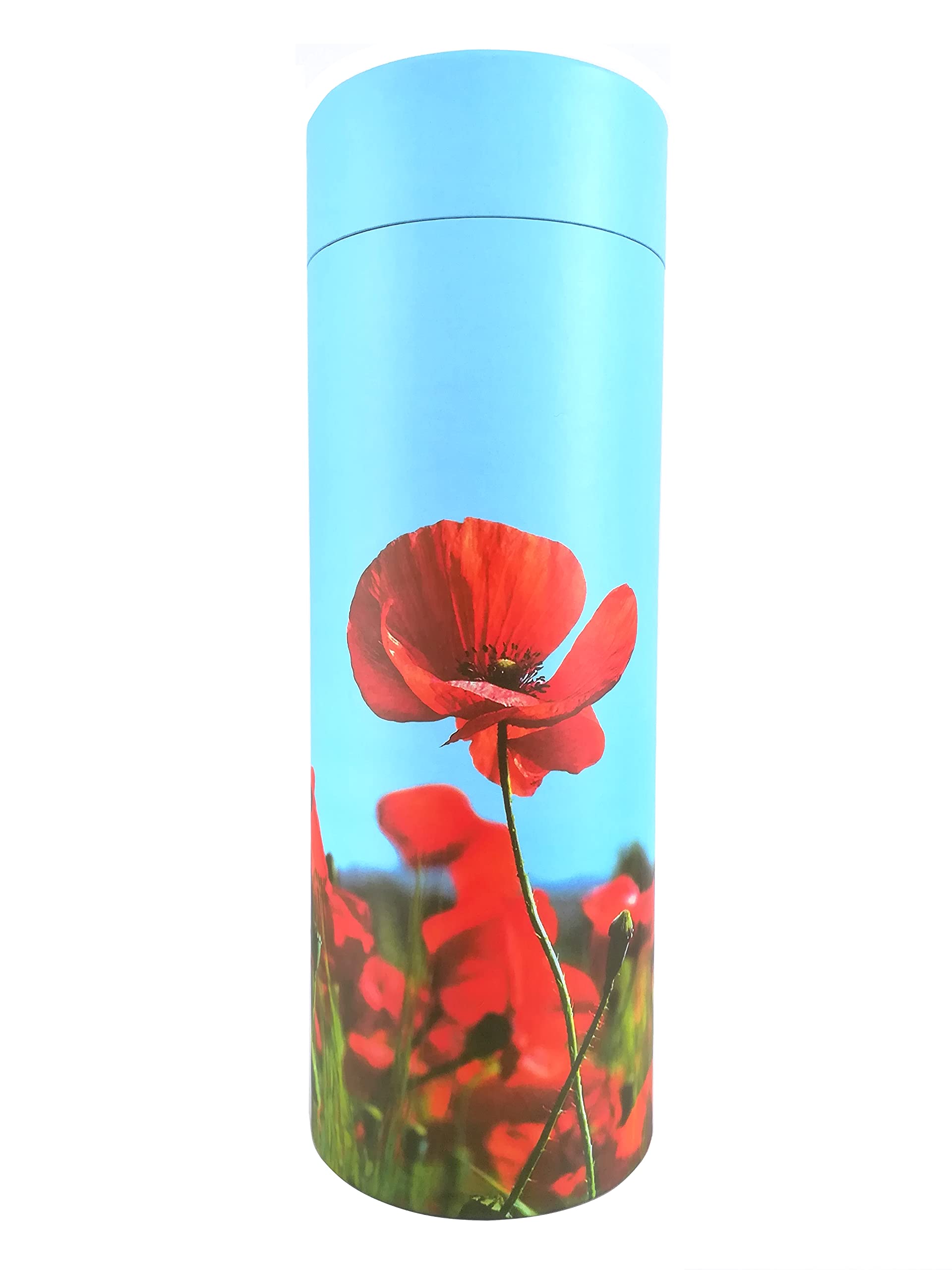 Scatter Tube Ashes Urn Plain Poppy Flower Adult child Large Medium Small Keepsake Pet (Large)