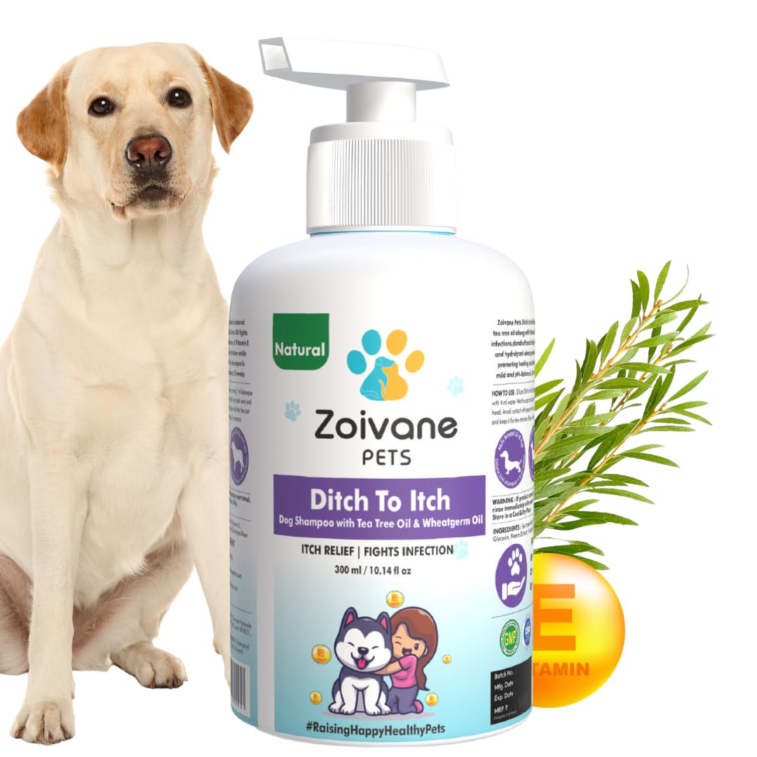 ZOIVANE Dog Shampoo | Ditch To Itch & Dog Anti Dandruff Shampoo - 300 Milliliter | Dog Shampoo Shih Tzu Puppy, German Shepherd, Labrador & Golden Retriever, Dogs Shampoo- Pack Of 1 (B09SBBN5X6) Amazon Price History, Amazon Price Tracker