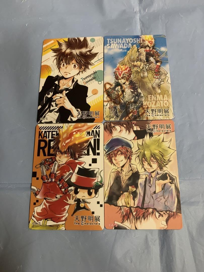 Amazon.co.jp: 天野明展 家庭教師ヒットマンREBORN リボーン ツナ 炎真