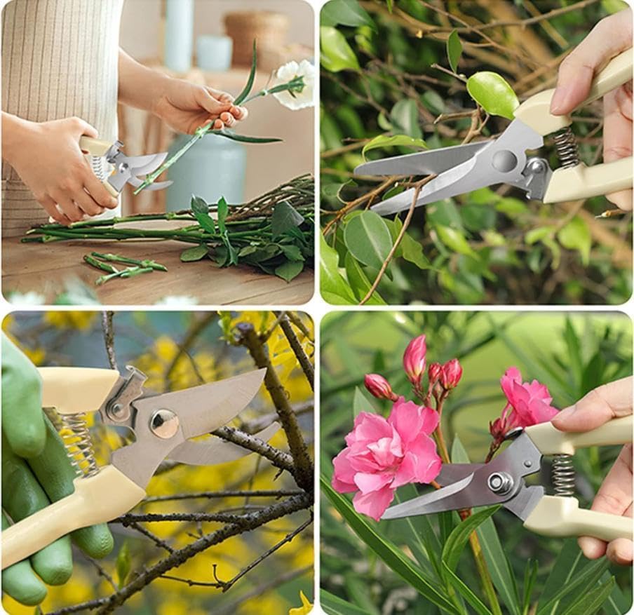 Tijeras de jardinería profesionales de acero inoxidable miniatura 7