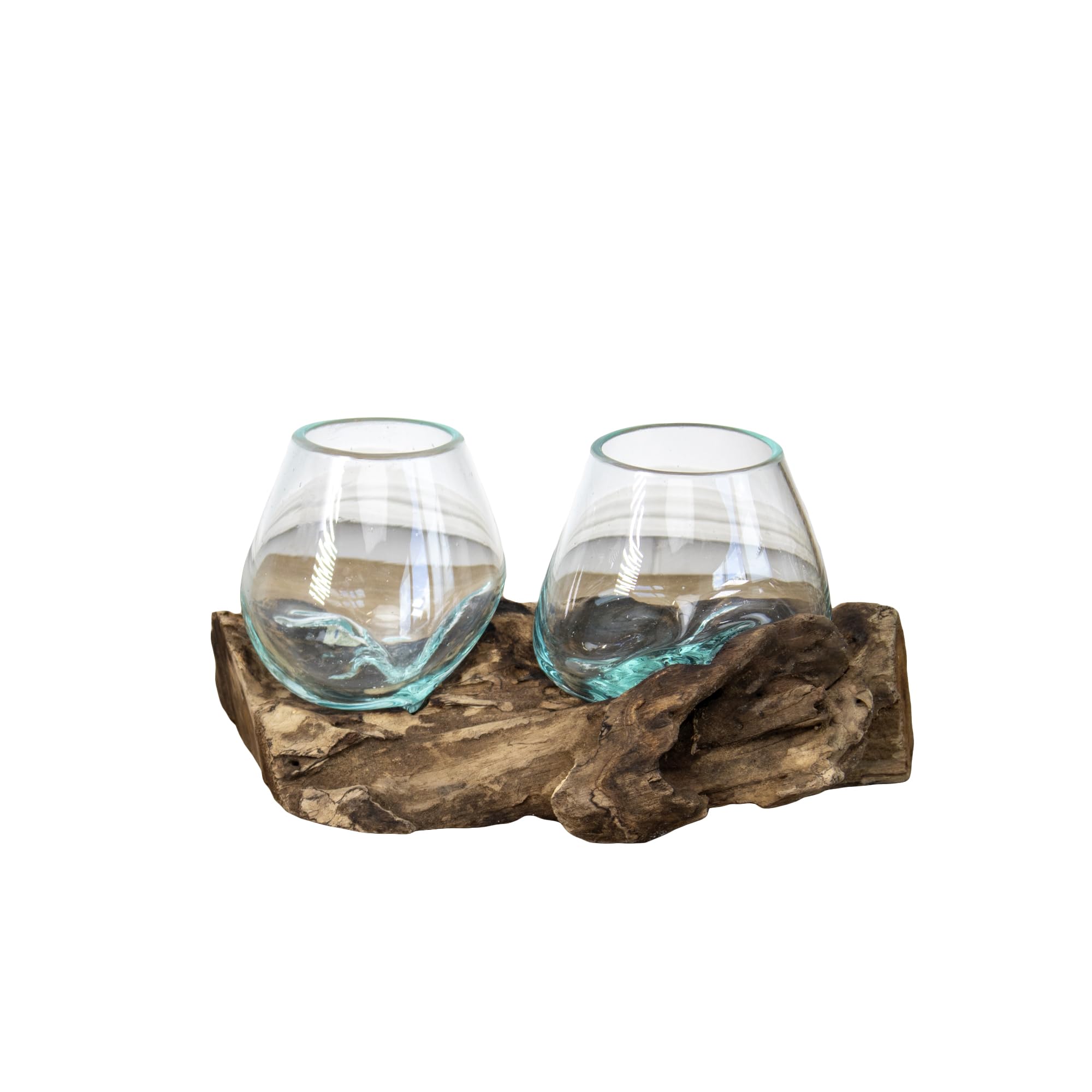 Teak Root with Double Mini Molten Glass Bowl 25x13x10cm Rustic Wood Base Home Decoration