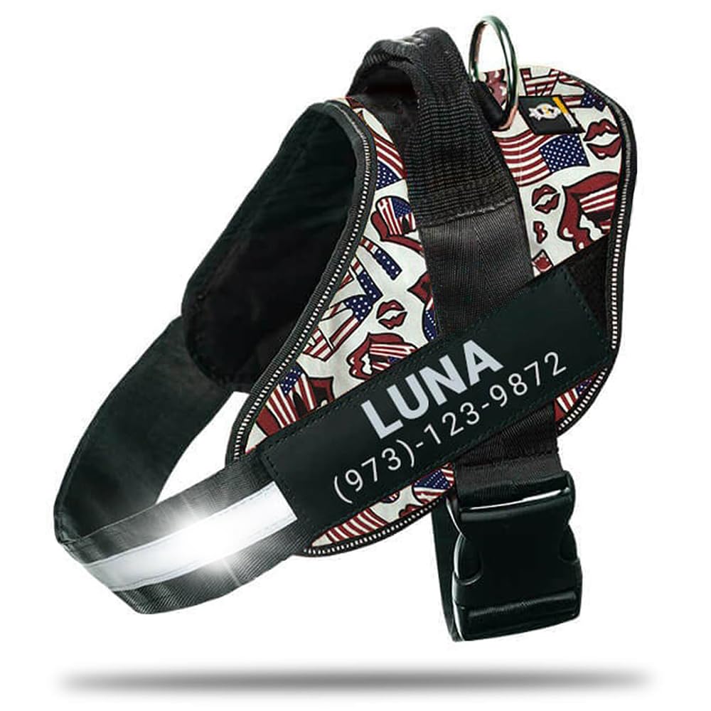 DOGGYKINGDOM Personalized No-Pull Dog Harness with Name Patch, Adjustable, Reflective, Padded, Heavy Duty Pet Vest to Prevent Tugging, Pulling, or