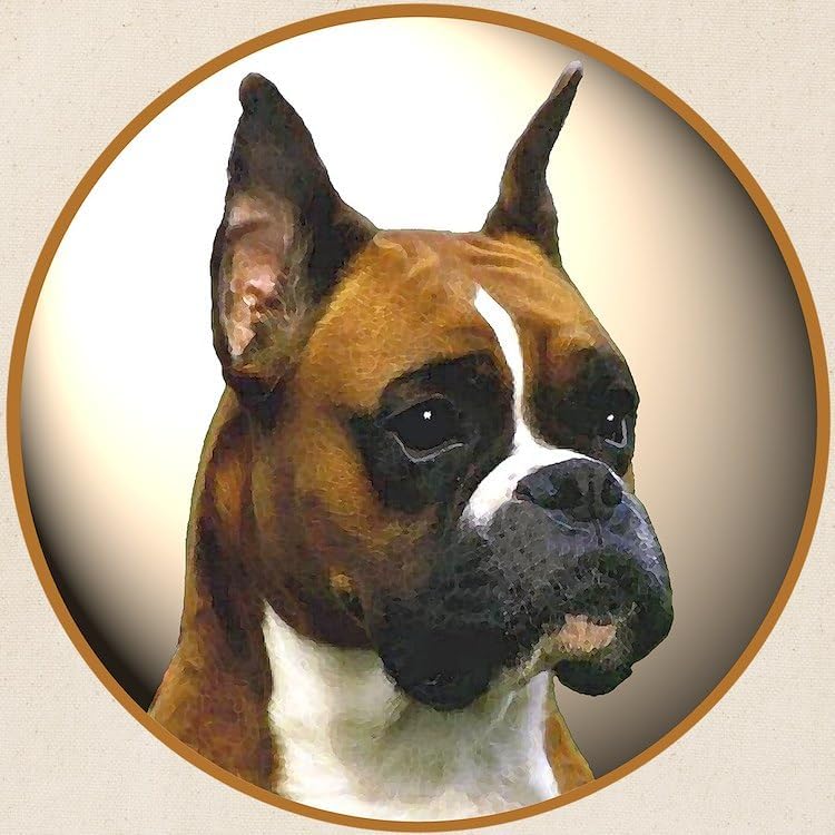 Miniatura 2 de CafePress The Boxer Dog Tote Bag Tote Bag