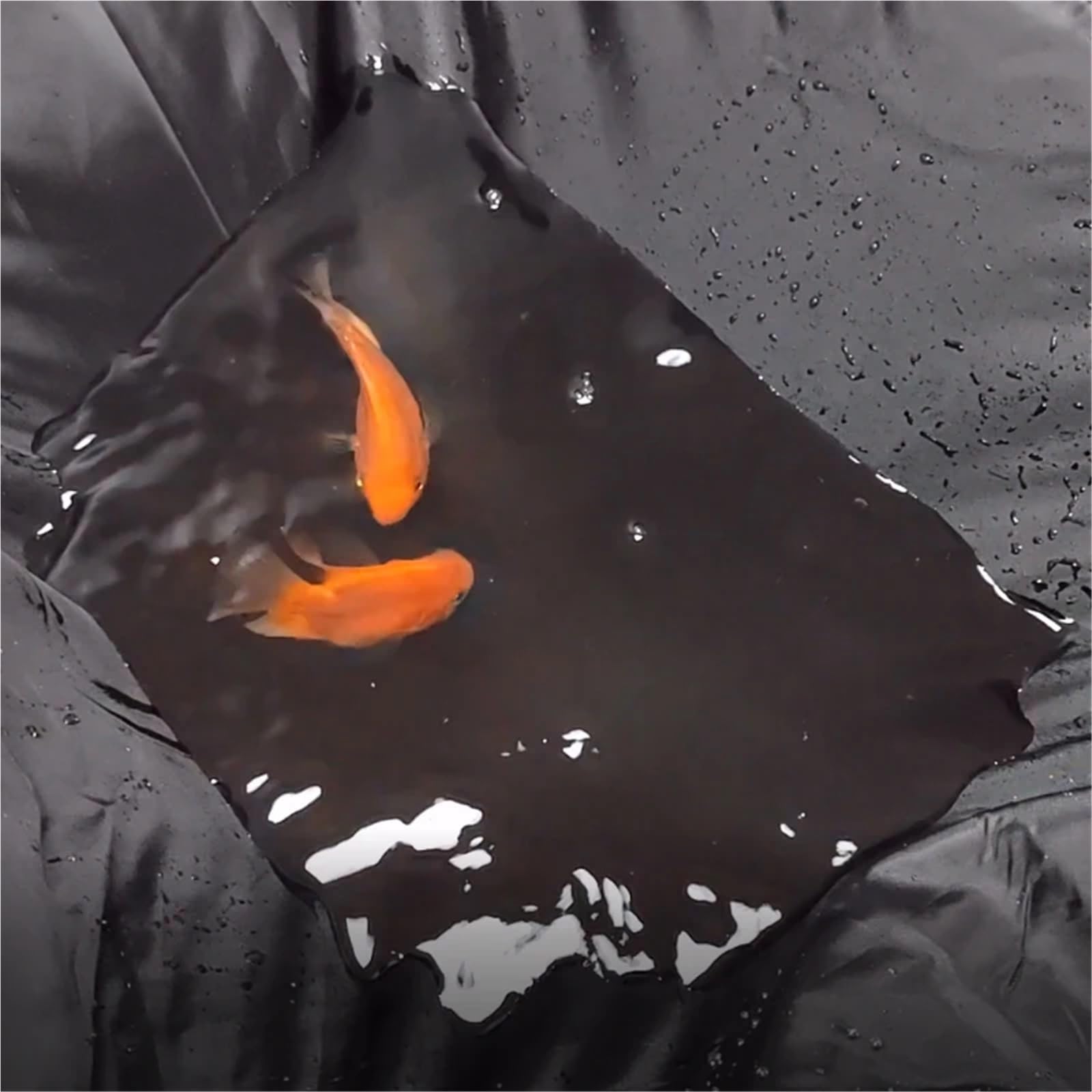 Housse de moto imperméable, anti-poussière, protection UV, toutes saisons, pour moto, scooter, pluie (tout argenté, taille 4XL pour 2300-2600 mm)