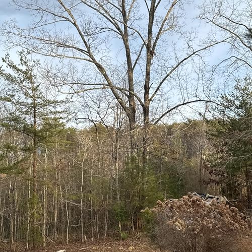 From Task Doer to AI Operator