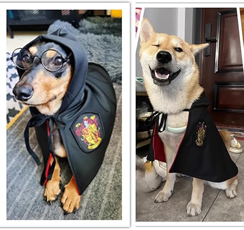 Miniatura 9 de Capa de gato de Halloween con corbata para el cuello, disfraces de gato de Halloween, disfraces de perro pequeño, ropa de Halloween para mascotas,