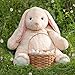 Vermont Teddy Bear Giant Bunny Stuffed Animal - 4 Ft Stuffed Bunny Plush Toy from Giant Cuddle Collection, Adorable Rabbit Animal for Kids & Adults for All Ages
