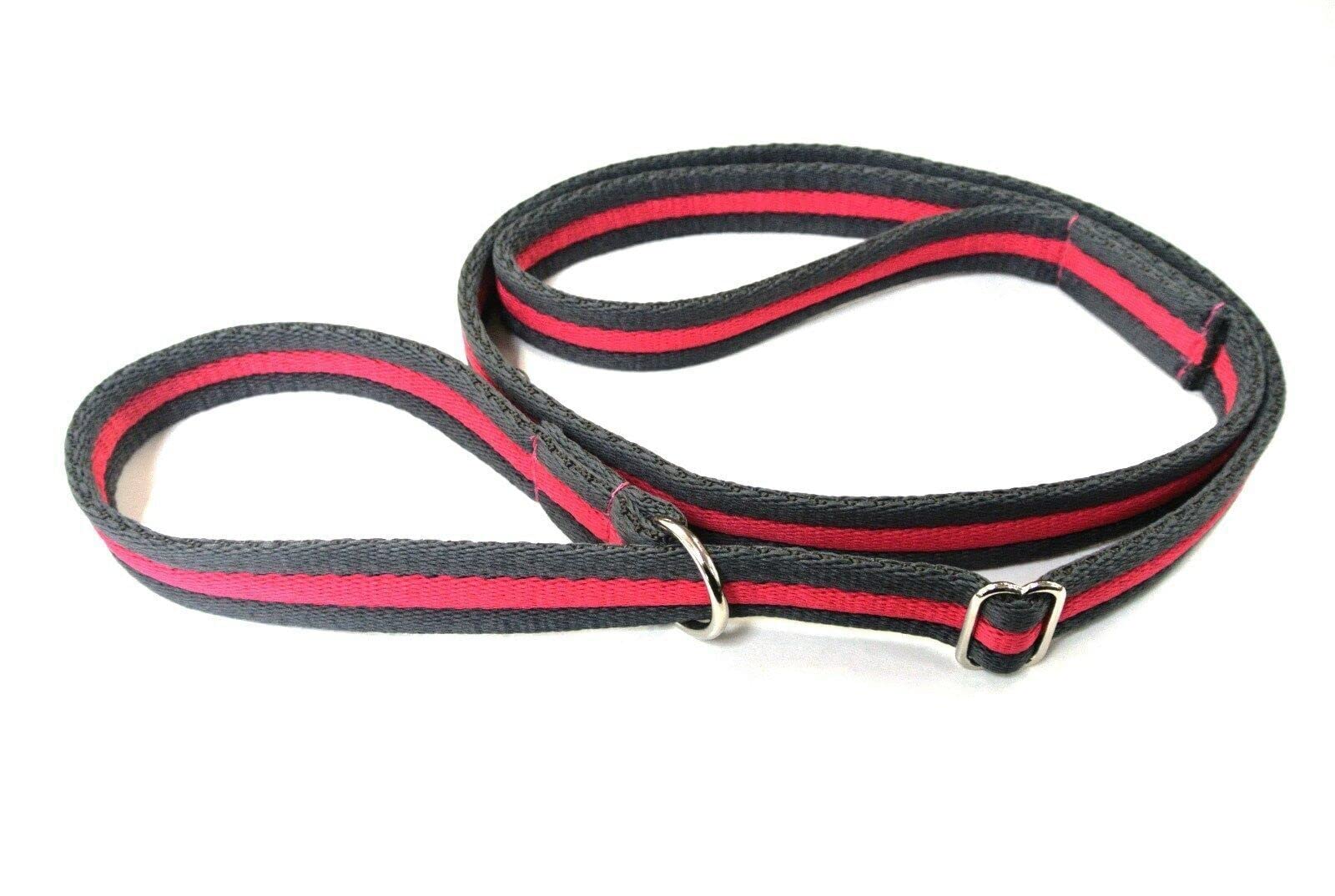 Dog Slip Lead Training Walking Leash 60" Long Obedience Slip On Dog Lead Soft Comfortable Air Webbing In (Grey/Pink, 25mm) — image 1