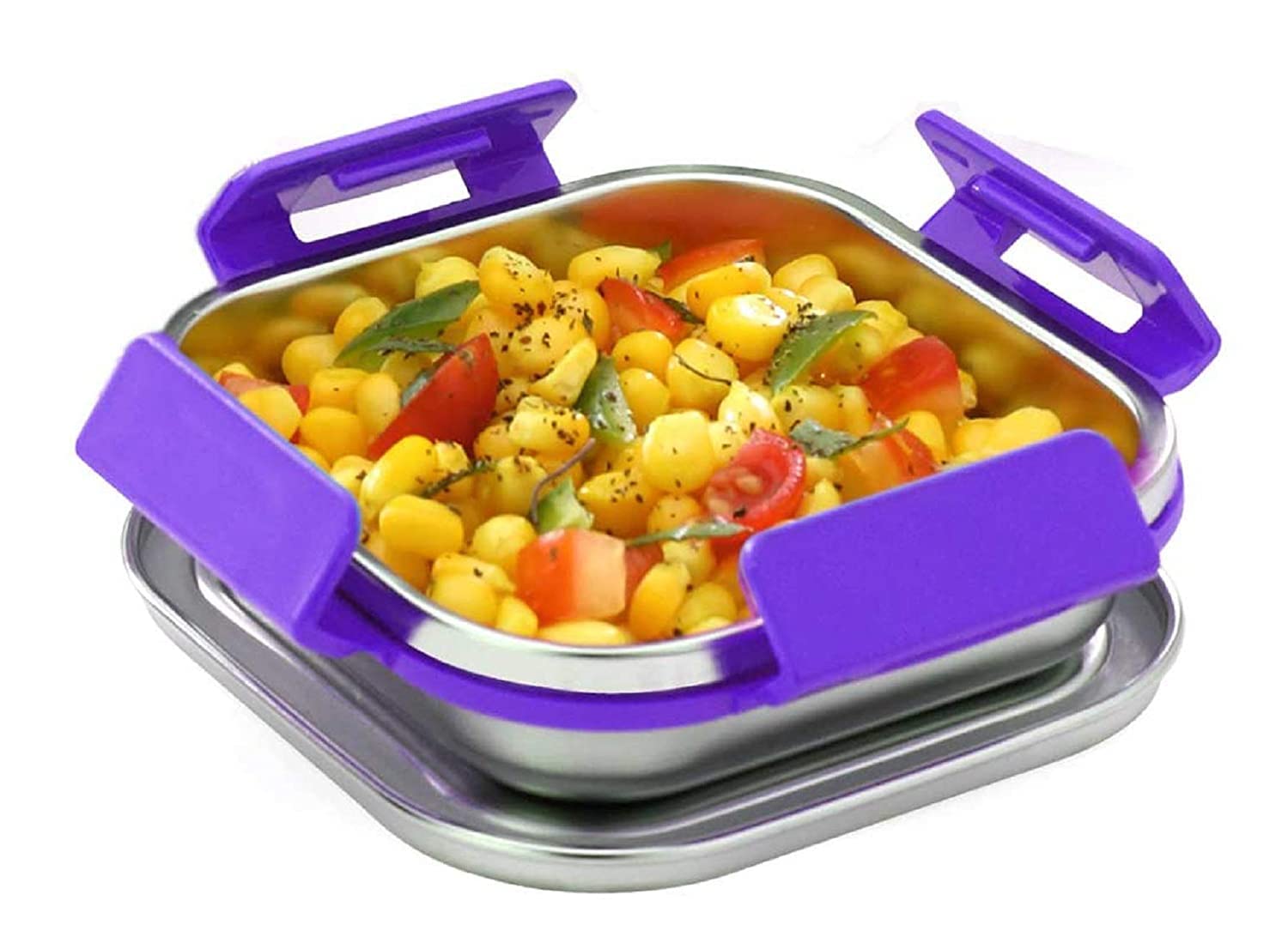 Signoraware Squarex Steel Box with 100% Steel Lids, Set of 1, 225 ml, Violet (B08CTPCFPM) Amazon Price History, Amazon Price Tracker