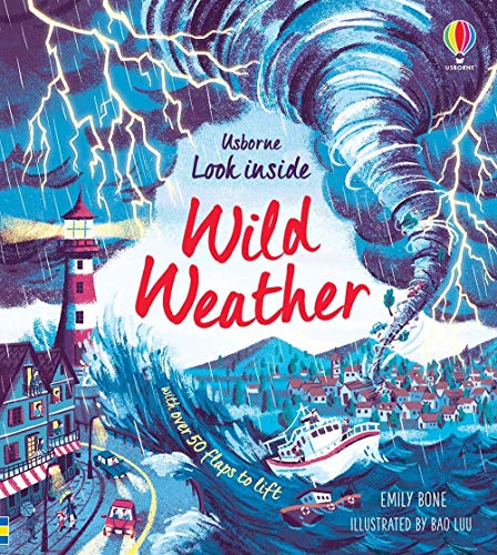 Look Inside Wild Weather 0794550185 Book Cover