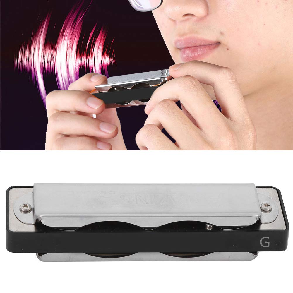 aqxreight Blues Harmonica 10 Hole Angorgan G Key z podstawą galwaniczną dla Początkujących i Profesjonalistów (BLACK)