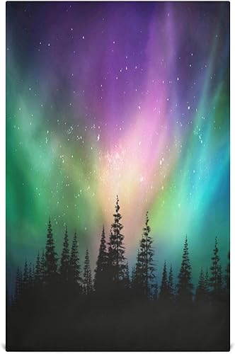 Juego de paños de cocina coloridos del bosque de Northern Lights Forest, 1 paquete de toallas de mano para barra de té, paños de limpieza de 18 x 28