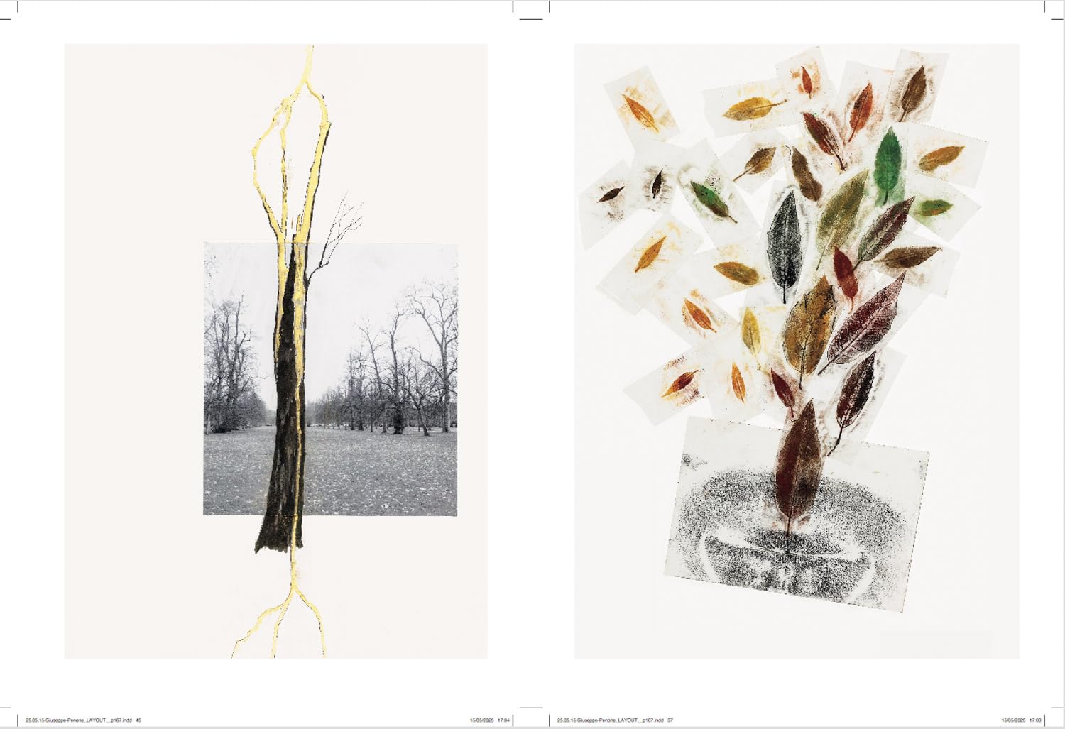 Giuseppe Penone Thoughts in the Roots /anglais: Serpentine Gallery, London
