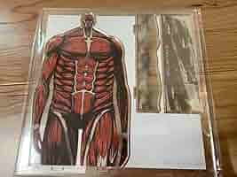 Amazon.co.jp: ベースヤードトーキョー進撃エレンリヴァイ超大型