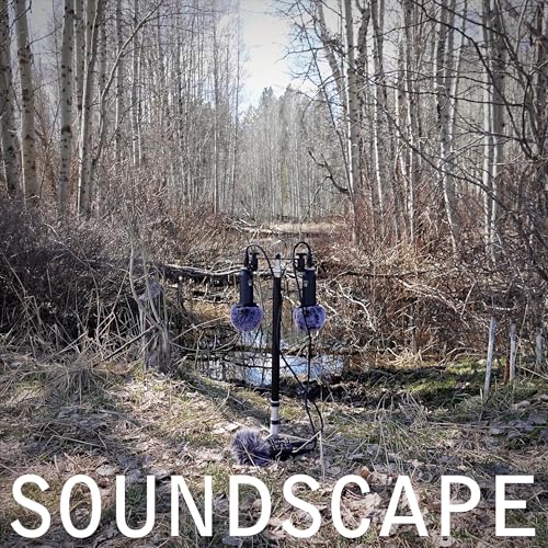 The Gloaming at Pawnee Podcast Por  arte de portada