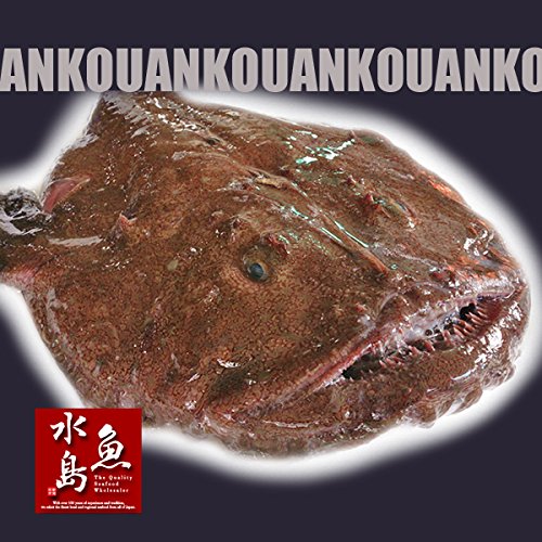 Amazon.co.jp: 魚水島 新潟・佐渡産 天然 あんこう アンコウ 一匹丸