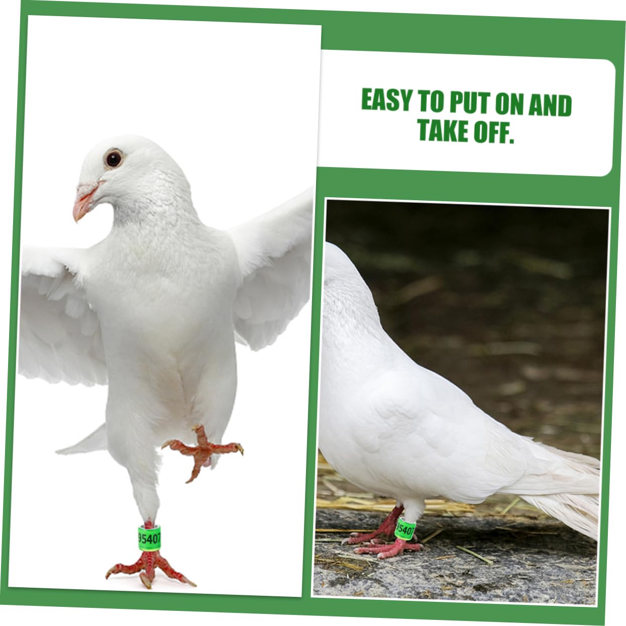 Parliky 50pcs Chicken Bird Leg Rings Pigeon Race Markers Bright Colored Sturdy Aluminum Plastic Easy Identification Marking