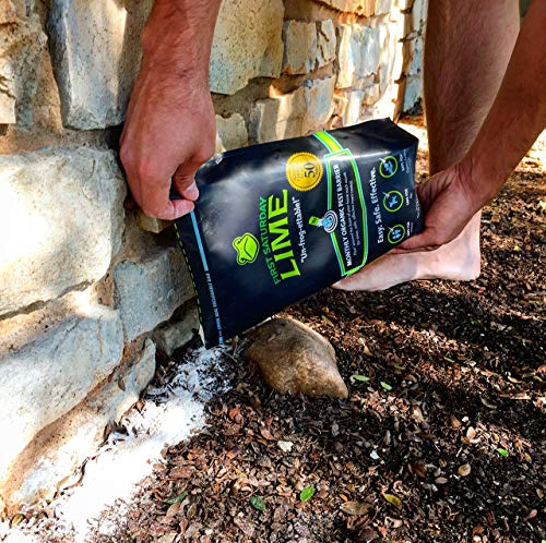 First Saturday Lime 20lb - Image 7