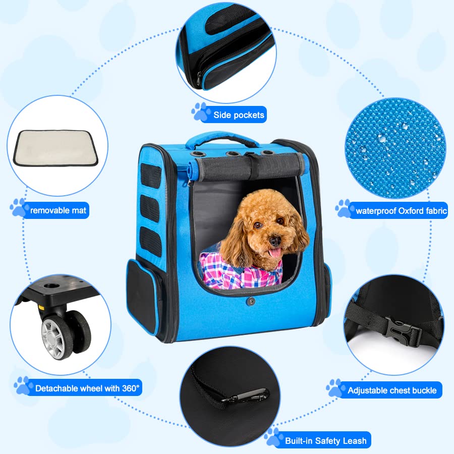 https://m.media-amazon.com/images/I/61w0Skwu2HL.jpg