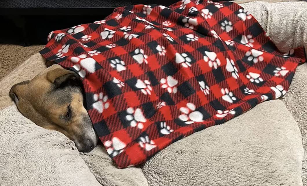 Blanket Soft Warm Cat Great Pet Throw Cats Puppy Small Medium Large. (Medium: 34