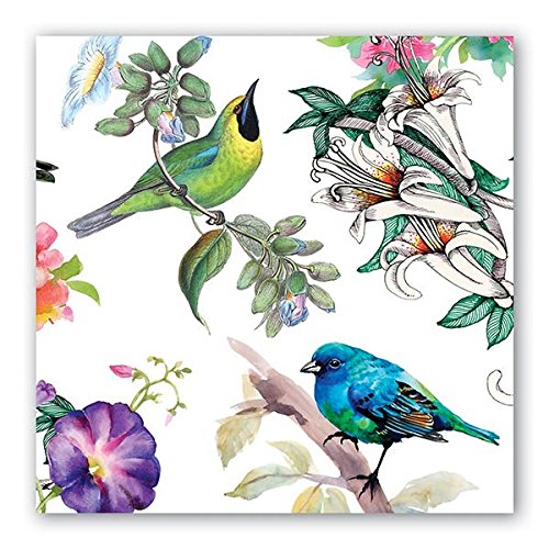 Michel Design WorksNAPL296 20-Count 3-Ply Paper Luncheon Napkins Bird Song