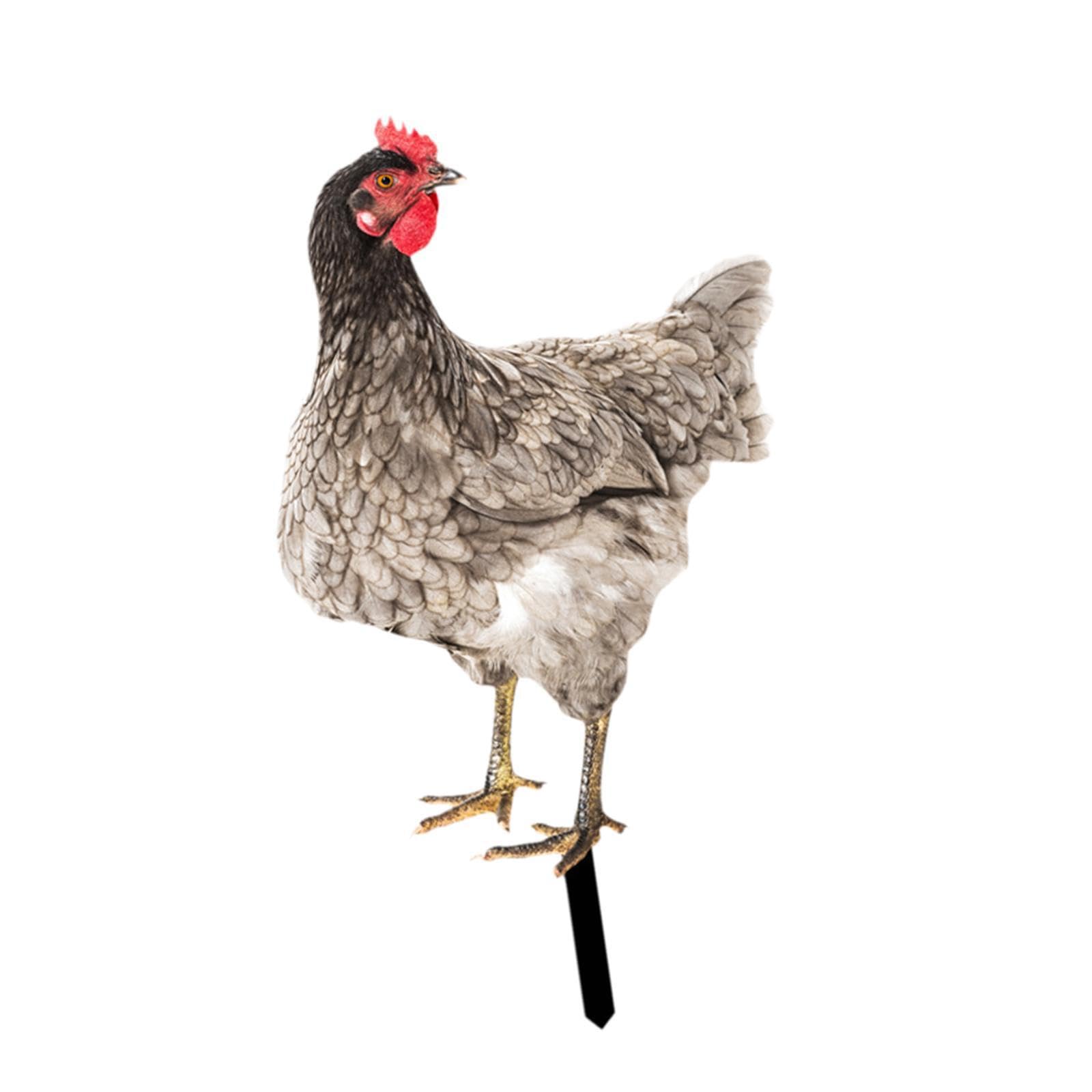 mophrati Chicken Garden Statue Stake Outside Outdoor Decor Crafts Unique Vibrancy In Landscapes By Showcasing Rooster Yard Art Acrylic Animal Stake Figurine , Style D
