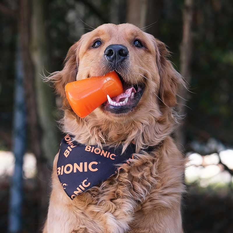 BIONIC Treat Shaker, Medium, Orange - Image 3