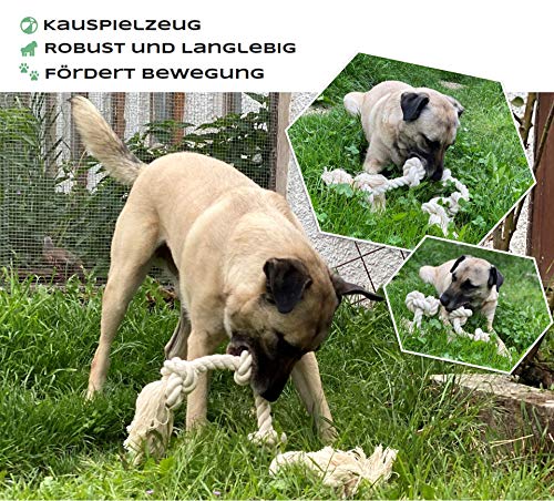 Go rilla® Hundespielzeug Seil, Tau Hund Spielzeug, Hund Seil Spielzeug Set, Interaktives Kauspielzeug Spielzeug, Vorteilhaft für die Zahnreinigung des Hundes, für Welpe Mittlere/Große Hunde (S, Natur)