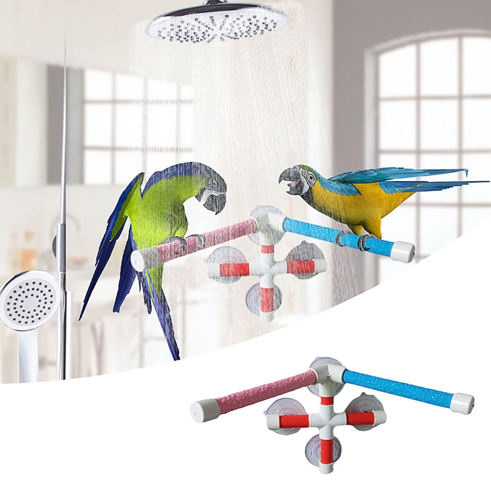 Buy Parrot Bath Stand Perch Bird Shower Standing Bar for Parrot Macaw