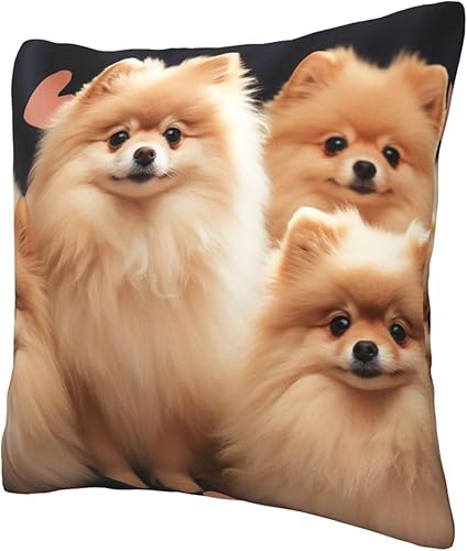 Miniatura 5 de GFLFMXZW Fundas de almohada con estampado de cachorros de Pomeranians de 16 x 16 pulgadas, funda de cojín suave y acogedora funda de almohada