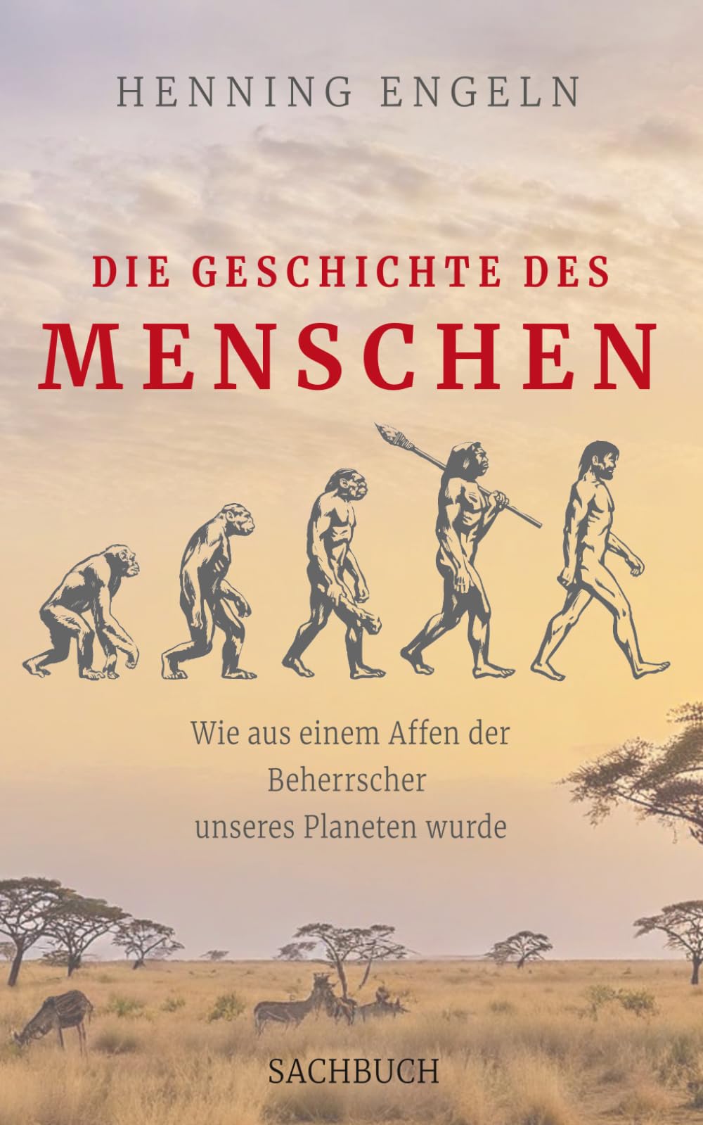 Die Geschichte des Menschen: Wie aus einem Affen der Beherrscher unseres Planeten wurde