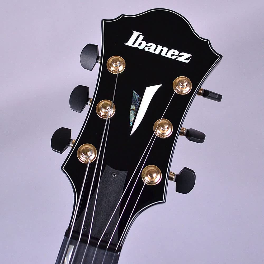 Amazon | Ibanez AFC151-TBC 【フルアコ】【島村楽器モデル
