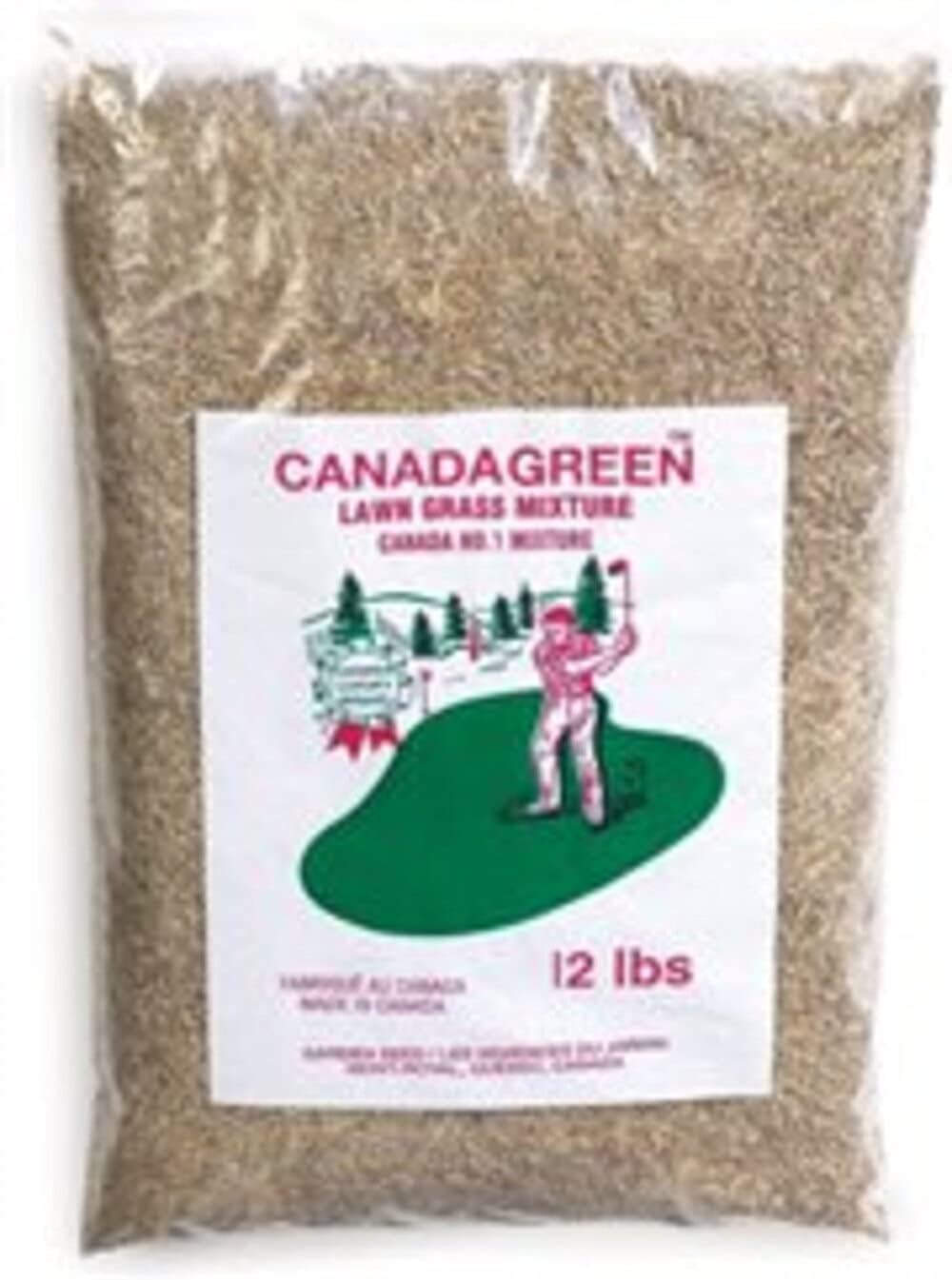 Canada Green Grass Lawn Seed Grows Healthy Rich Green