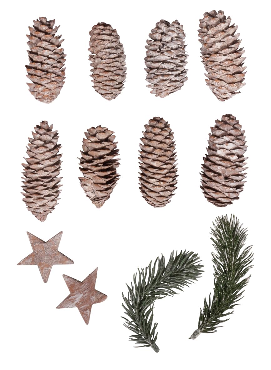Rayher Decorative Mix Christmas, Pine Branches, Cones, Stars, 12 Assorted Pieces, 4-12 cm, 12 for Winter Decorations, Christmas Decoration, Advent Wreath Decoration, 55963000