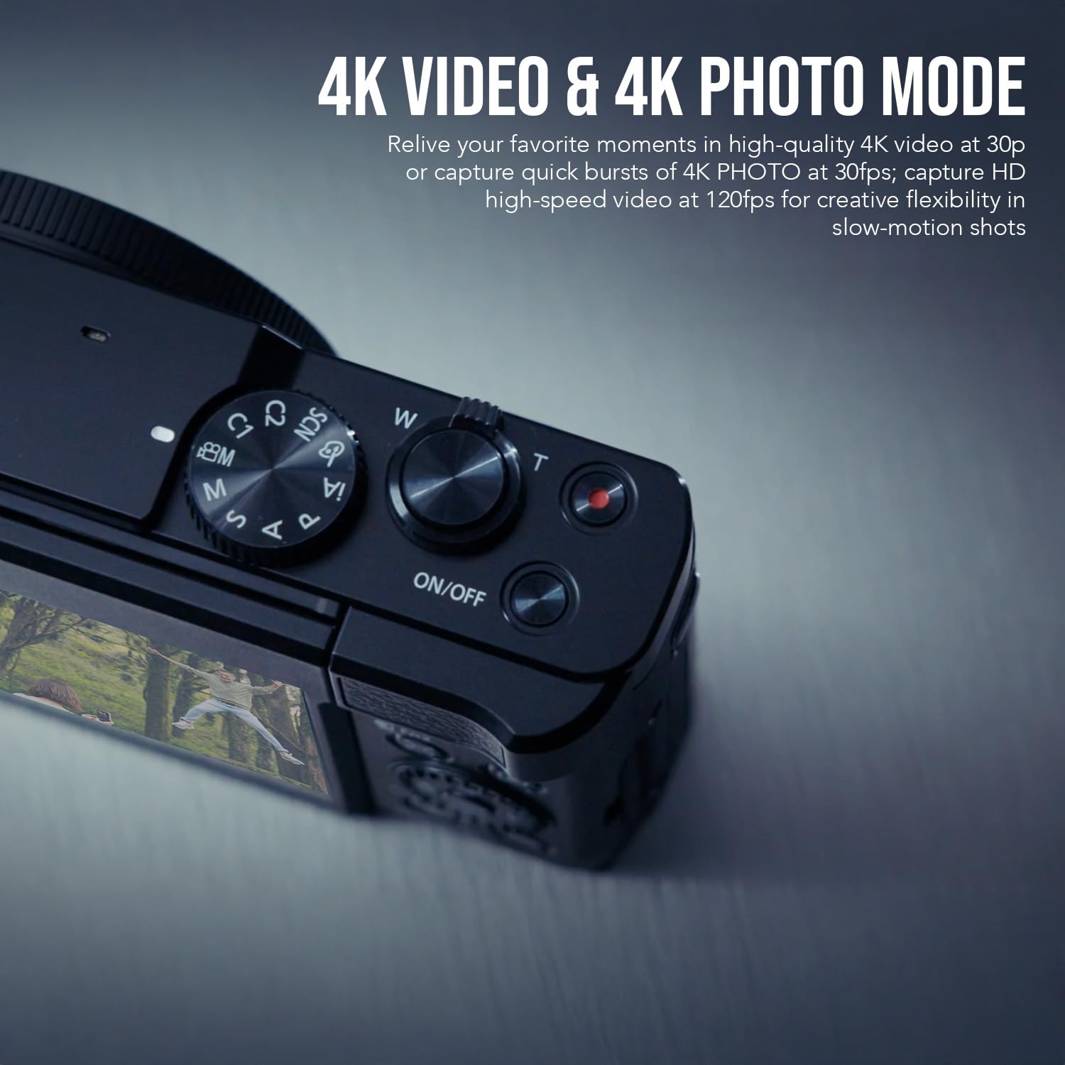 Amazon.com : Panasonic LUMIX ZS99 30x Zoom Point Compact Digital