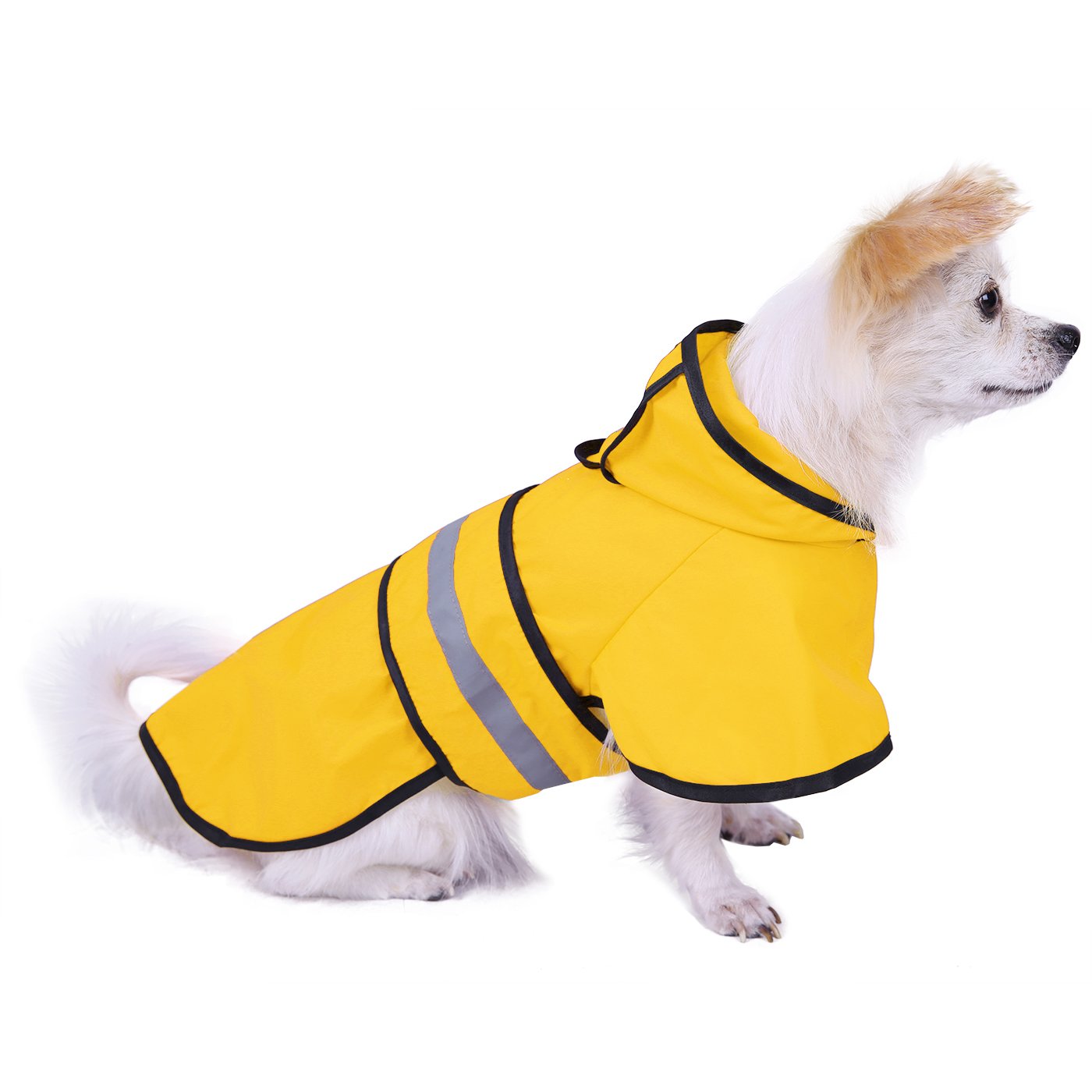 Dog Raincoat Patterns Free Patterns