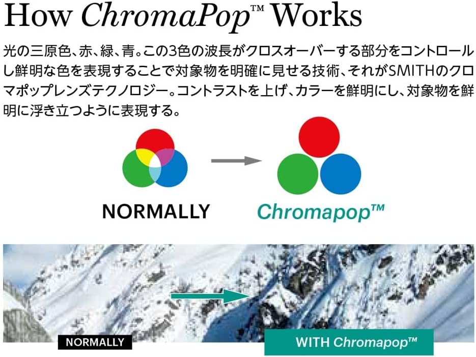 SMITH Optics Skyline XL Asian Fit Snow Goggle