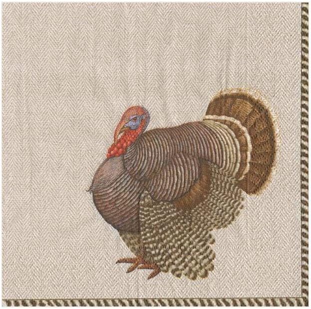 Caspari Thomas T. Byrd Paper Cocktail Napkins - 20 Per Package, 4 Packs