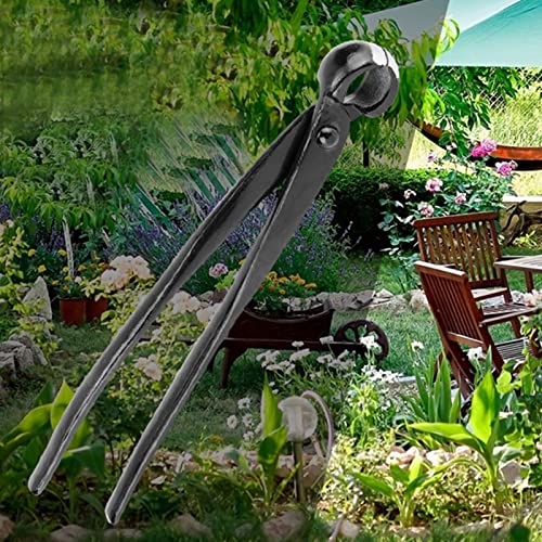 Gloglow GLOGLOWMBOZSKF95X-02 Bonsai Concave Branch Cutter, 8.4 Inch Manganese Steel Alloy Sharp Blade Round Knob Cutter thumb #6