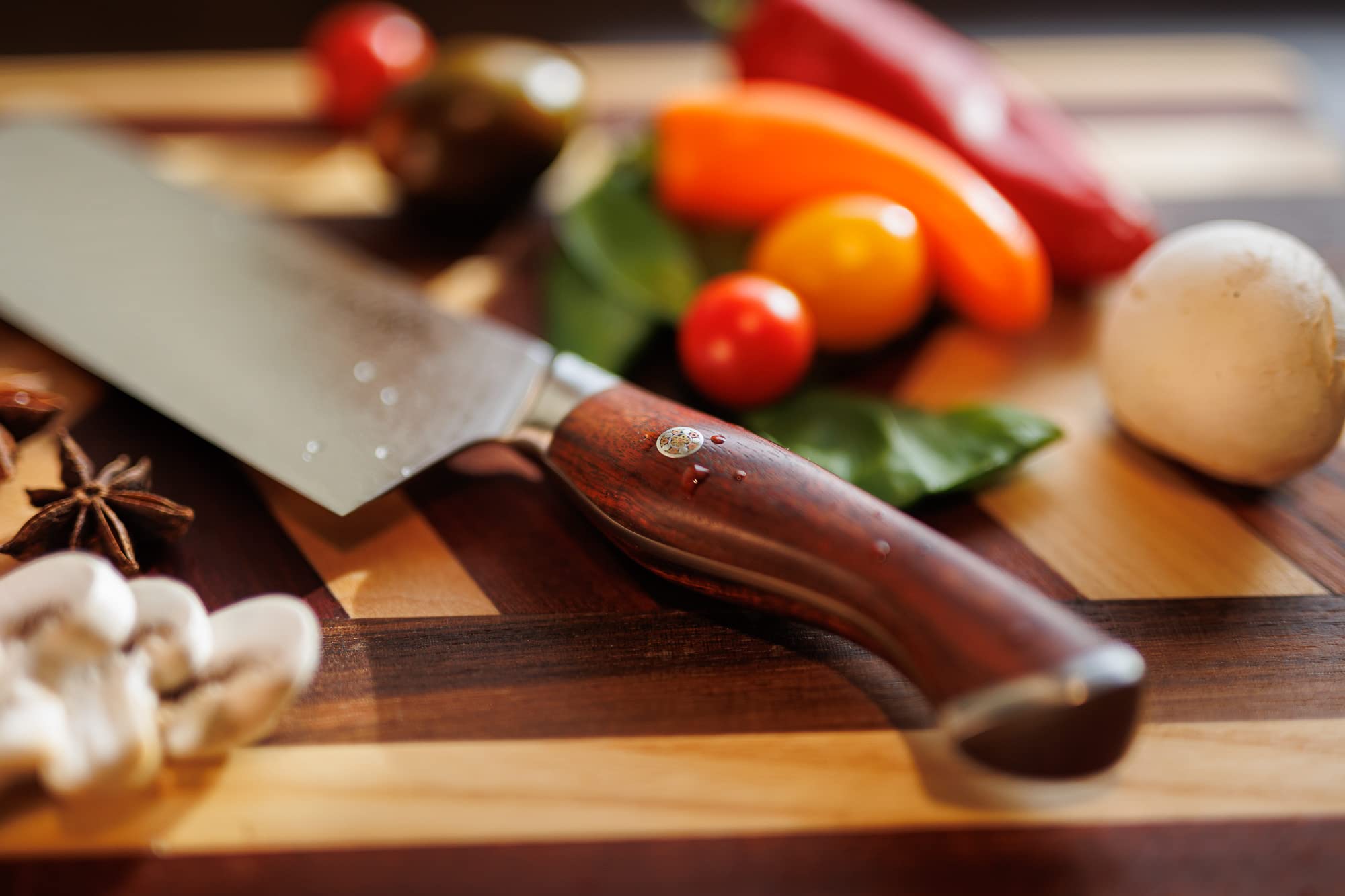 SHANGDAO Coltello per affettare il petto - Coltello da cucina professionale da 10 pollici