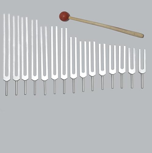 TFS Tuningforkshop 15 diapasón de órgano humano para curación con mazo y bolsa