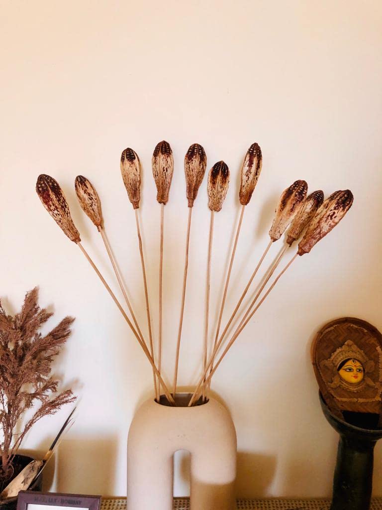 flowers and fillers Dried Mehogany Stems 10 pcs | Eco-Friendly Flowers for Home Dcor | Vase Filler for Home-picture-18