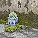 HakkaGirl Ceramic Pots for Plants, Chinoiserie Décor Ceramic Flower Pots Planters for Indoor Plants with Drainage, Blue and White, Set of 3